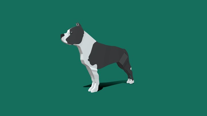American Staffordshire Terrier 3D Model
