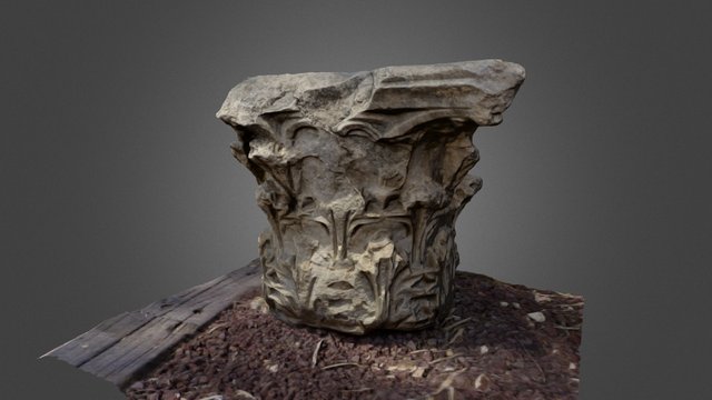 column head 3D Model