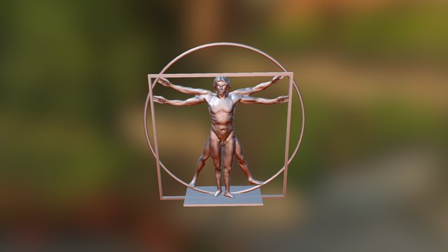The Vitruvian Man 3D Model