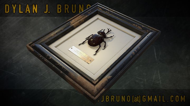 Japanese Rhinoceros Beetle Taxidermy 3D Model