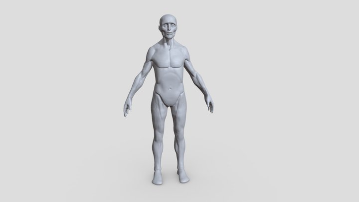 The ecorche of the Pyrosuvious 3D model