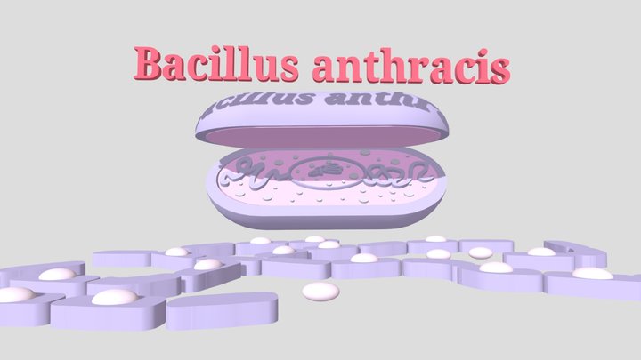 MICROUGHS_bacillusanthracis_BGPL_AJVA_LAMR_VIPI 3D Model