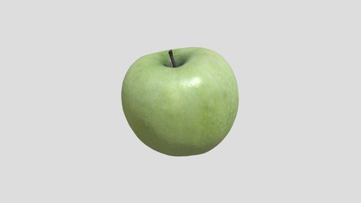 JANELA_PACHECO 3D Model