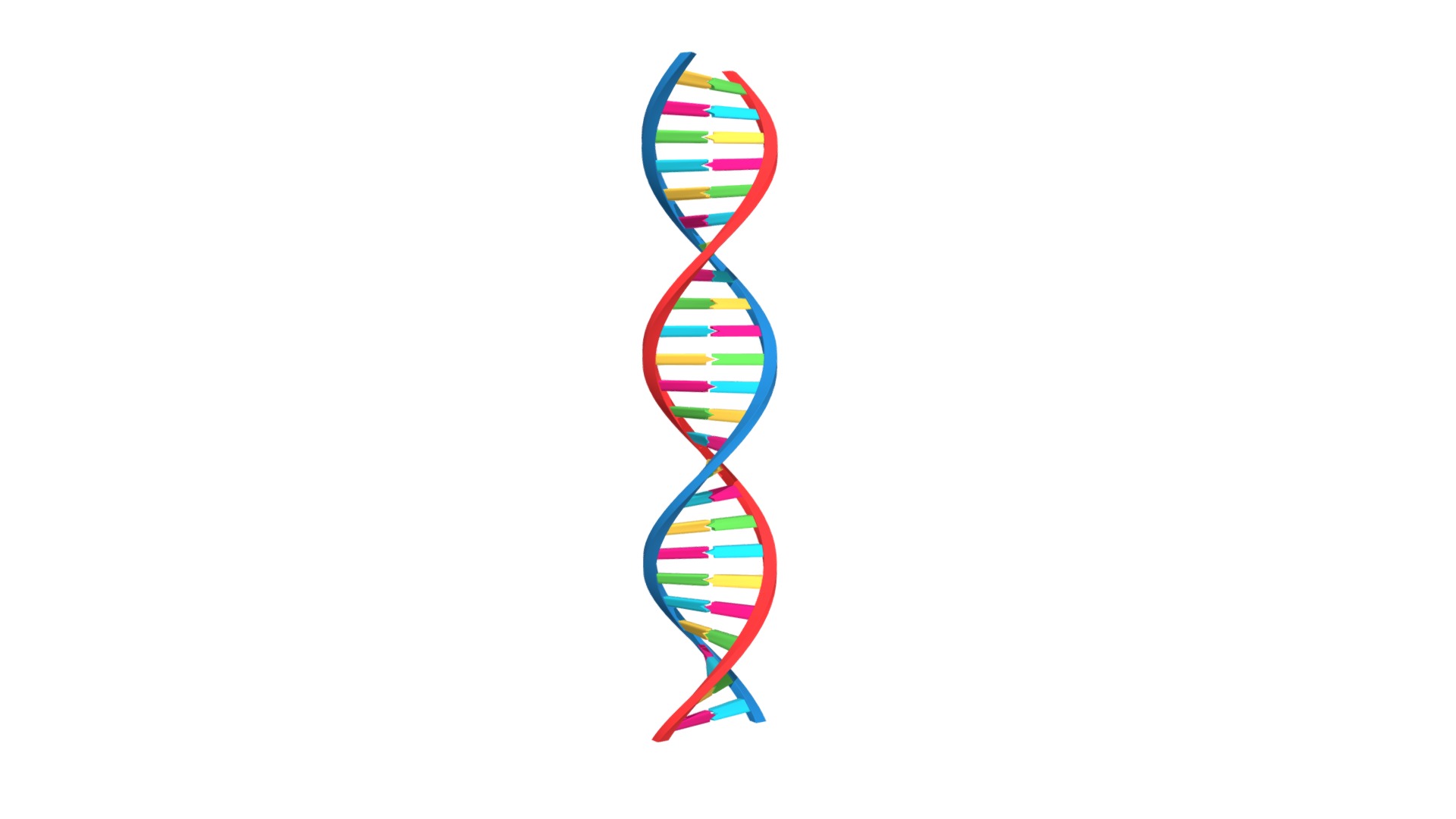 3D model DNA - This is a 3D model of the DNA. The 3D model is about shape.