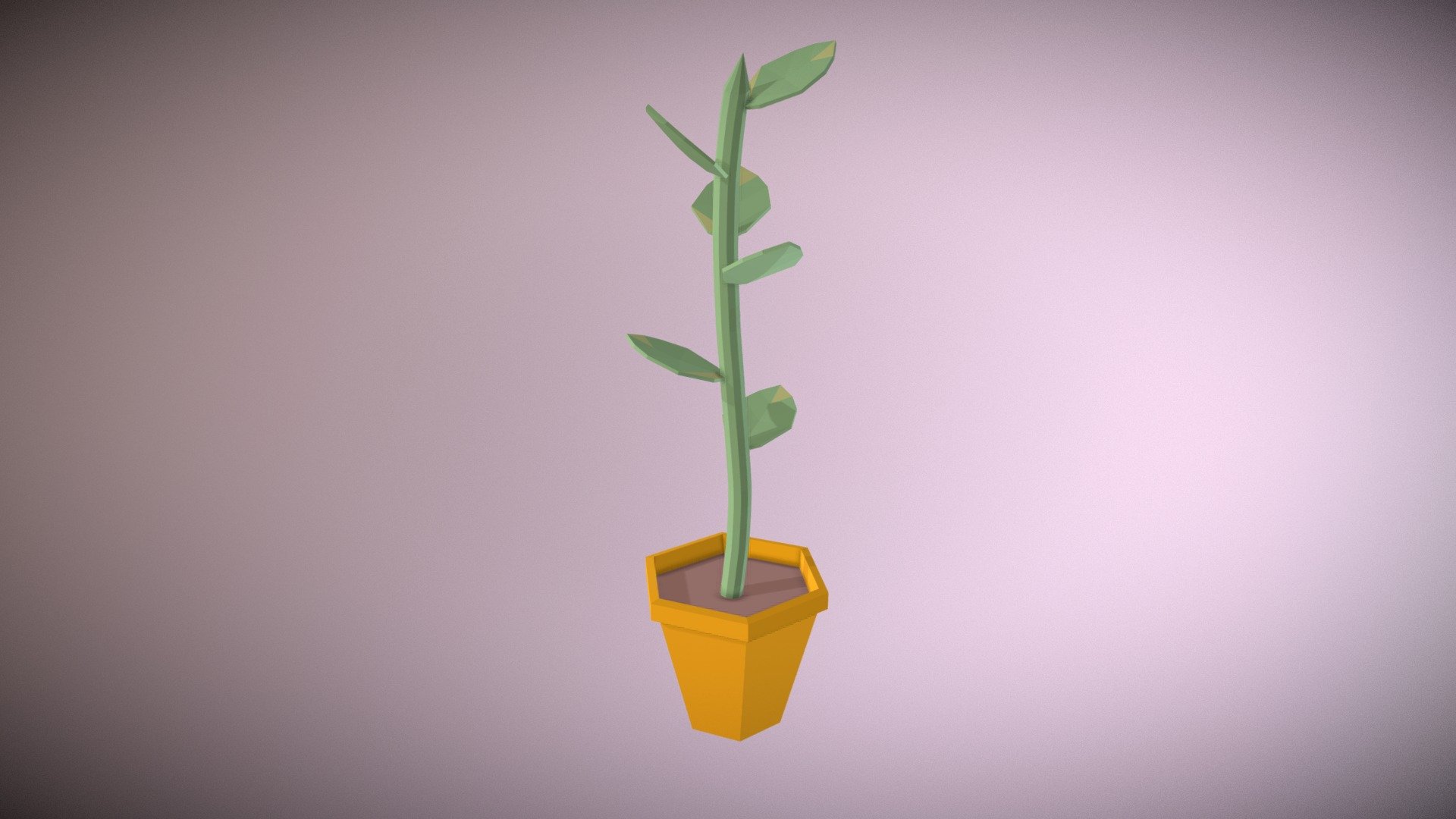 Potted Plant