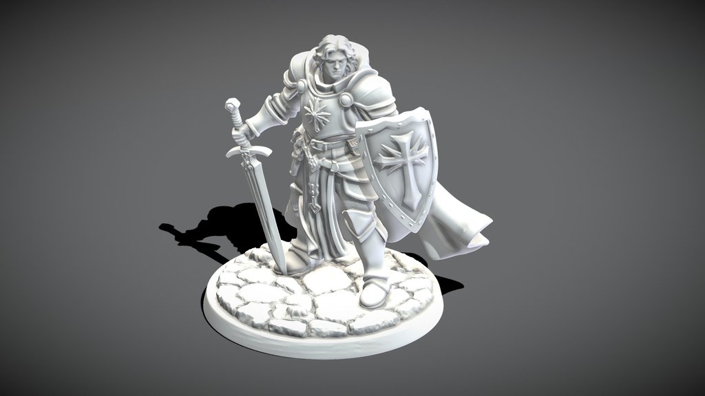 PALADIN KNIGHT #2 POSED D&D MINIATURE [MESHY 6]