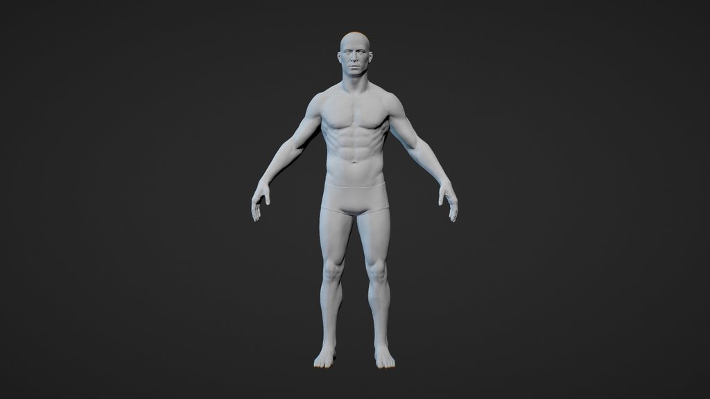 Anatomy - A 3D model collection by Ashraf Bouhadida (@frostashes ...