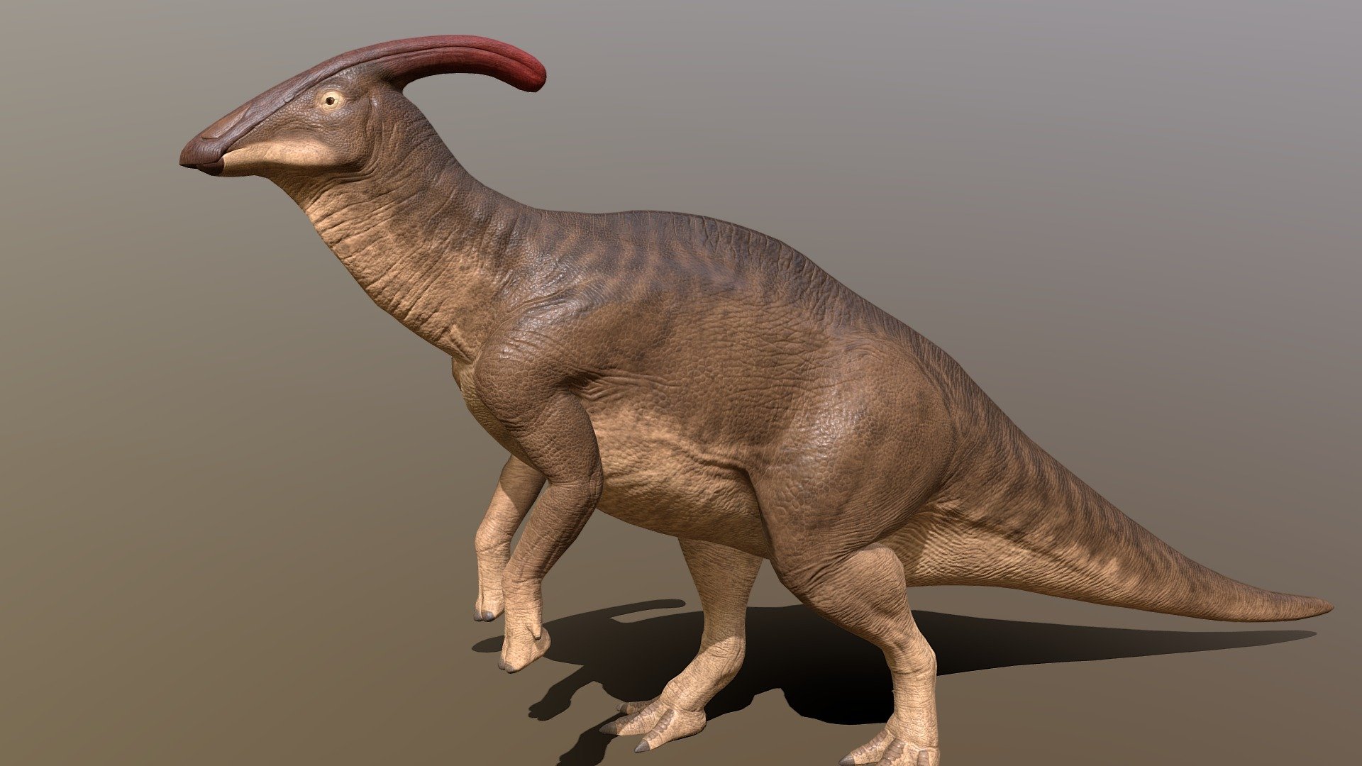 Parasaurolophus - 3D model by pxltiger [6c2c7ac] - Sketchfab