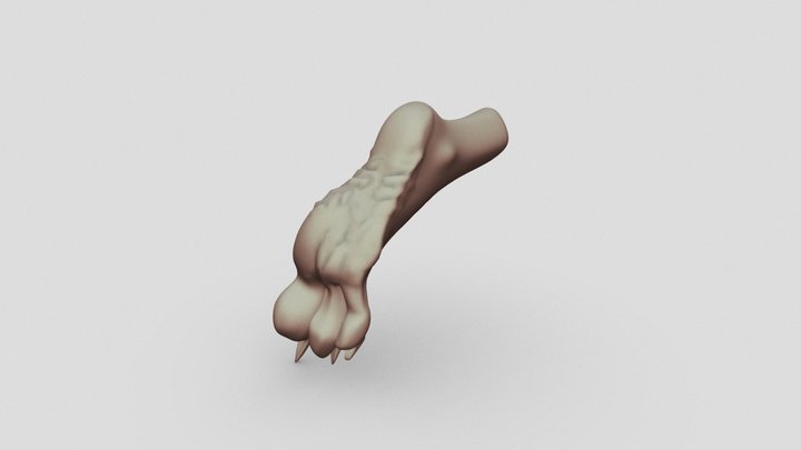 Furry Style Foot 3D Model