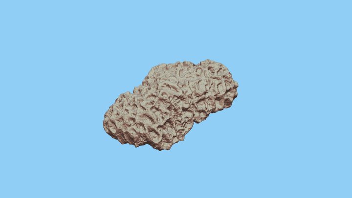 Coral1-1000k 3D Model