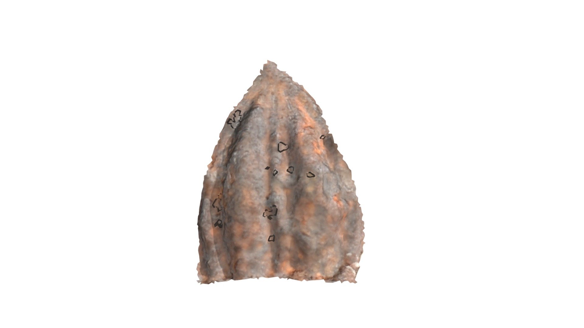 C19 - aurochs MNIR