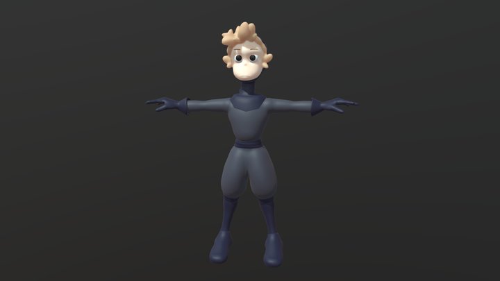 Ninja T 3D Model