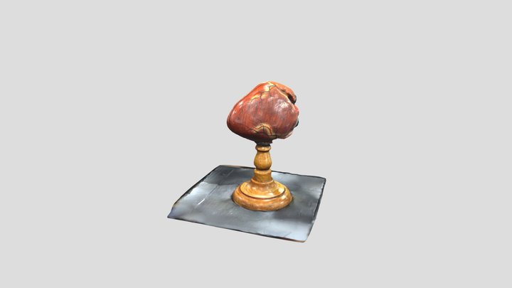 Heart Model 3D Model