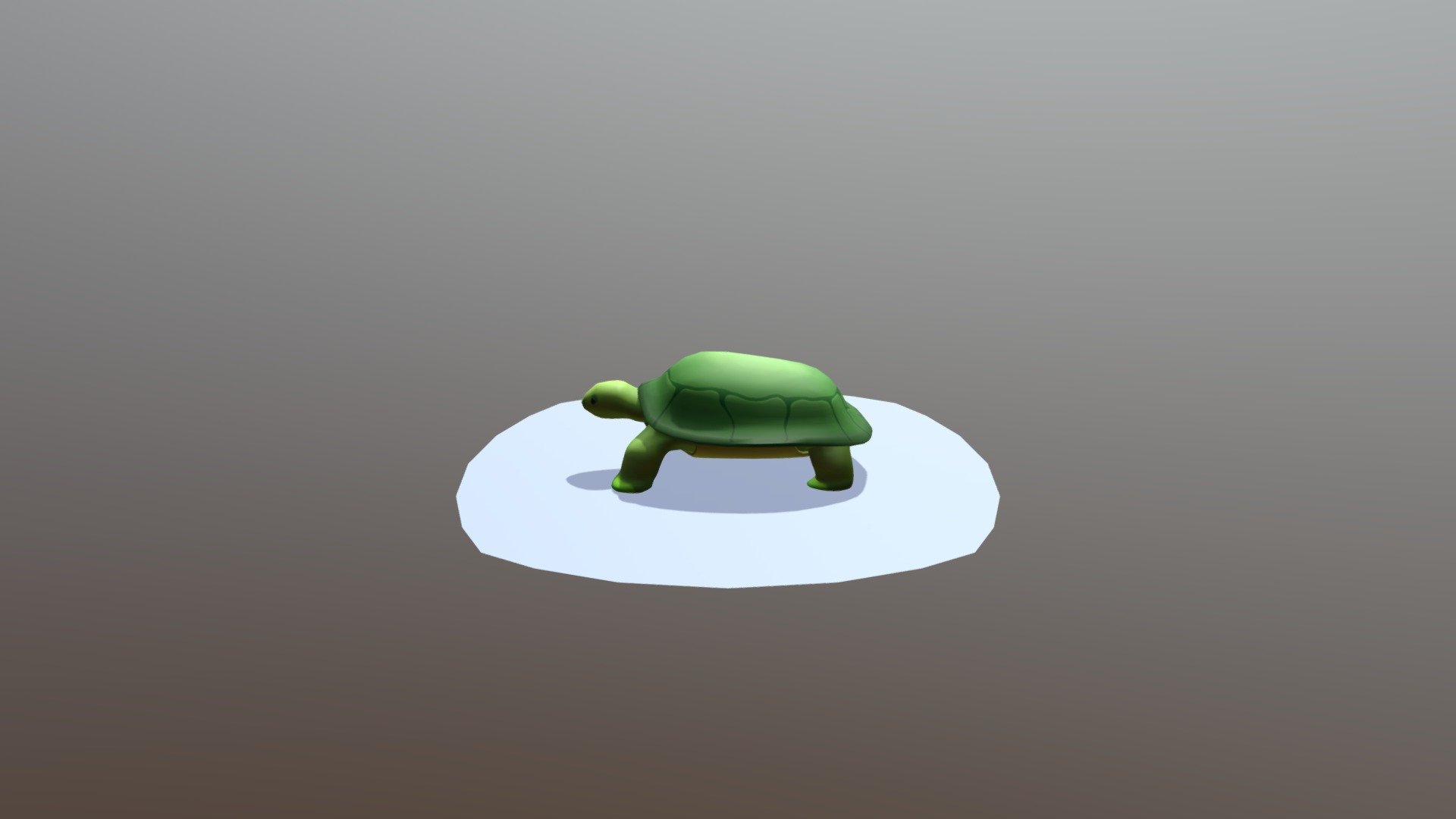 Good Boy Tortoise