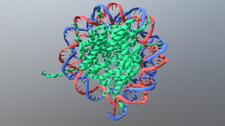 Nucleosome Core 3D Model