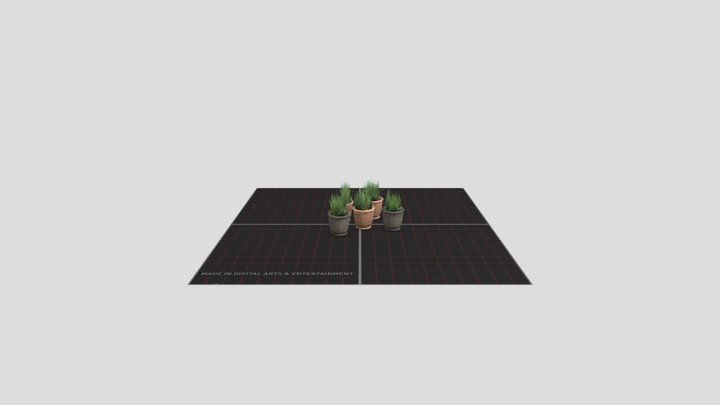 Flower Pots 3D Model