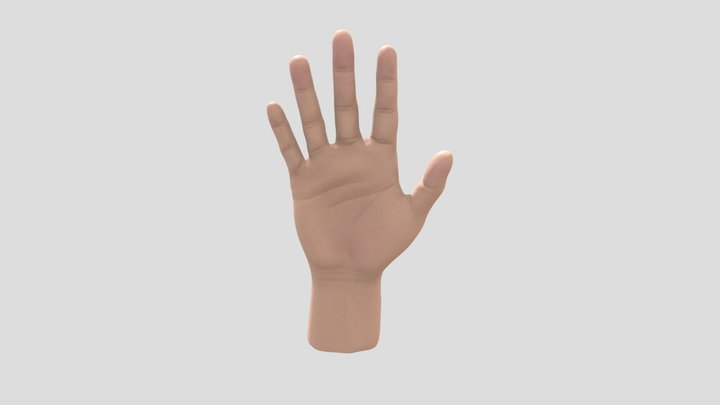 Hand sculpt 3D Model