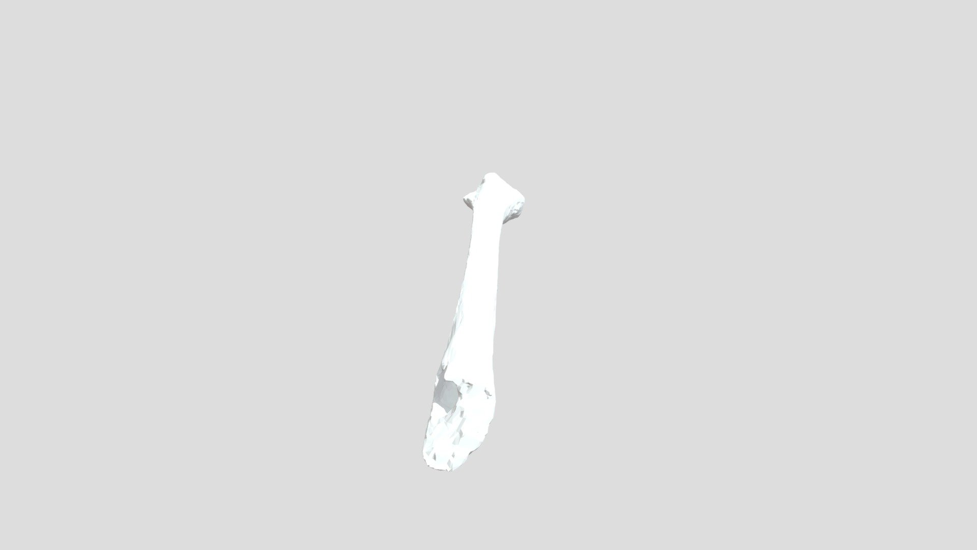 bone-download-free-3d-model-by-harshgoyal98-6c45c95-sketchfab