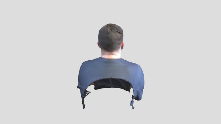 Model 3D Model