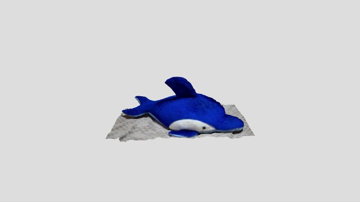 dolphin 3D Model