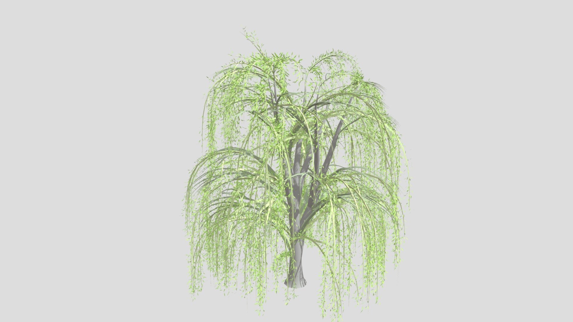 weeping Willow - Download Free 3D model by Pasha (@homxis-mydqyp-juNke1 ...