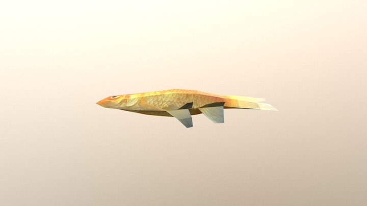 Peixe Dourado 3D Model