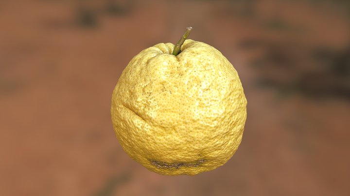 Ponderosa Lemon 3D Model