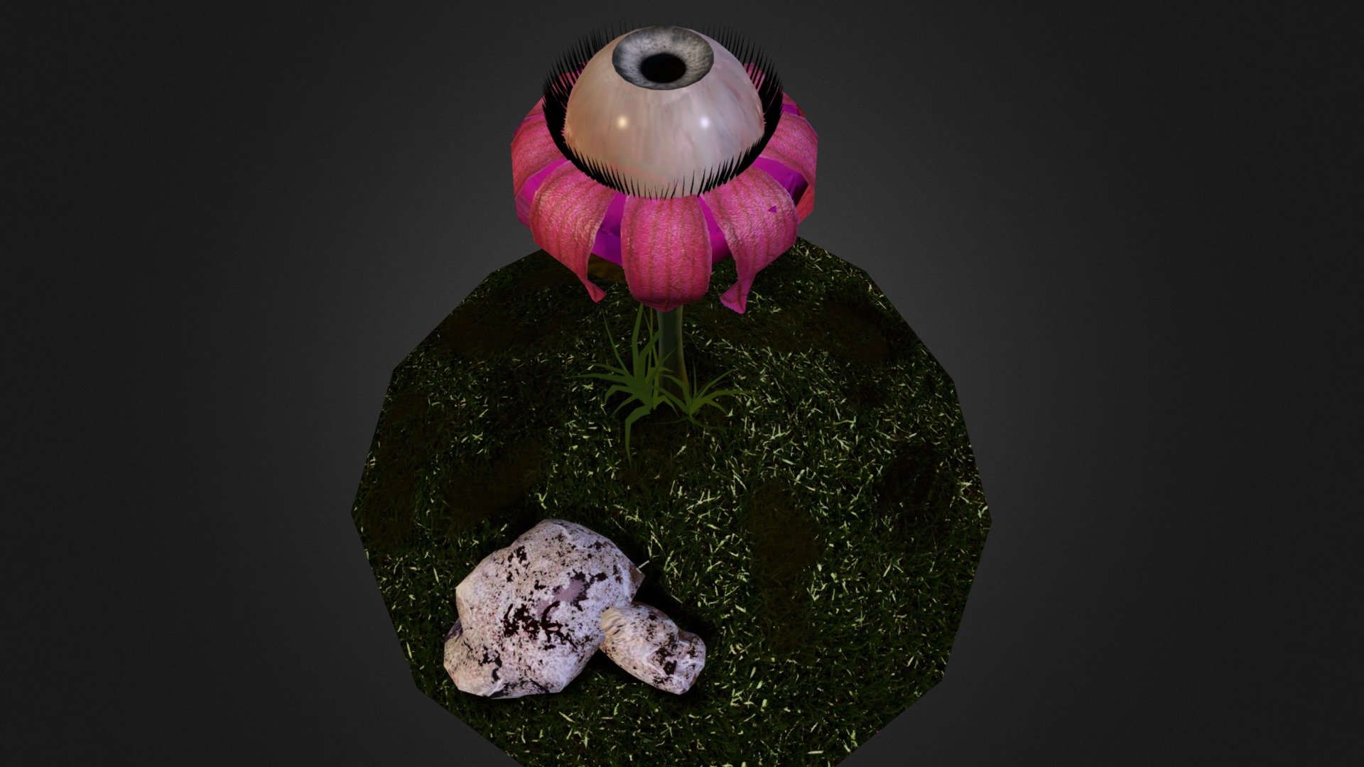 Rafflesia oculus
