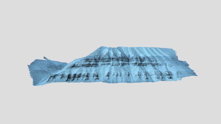 Upper Endalen Outcrop 3D Model