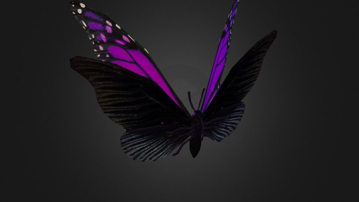 Flutterby 3D Model