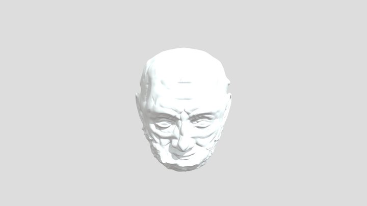 Mute Custom 3D Printable Action Figure Head Scul