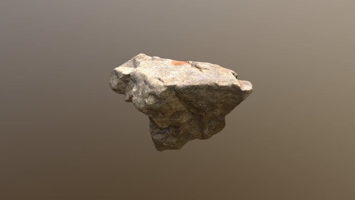 Rock Scan 3D Model