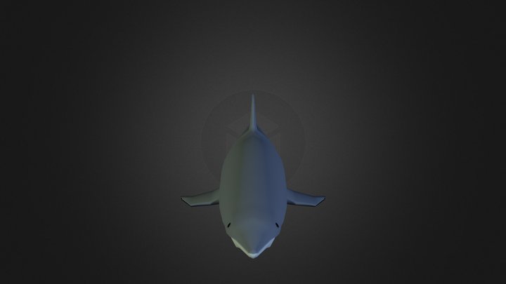 Shark 3D Model