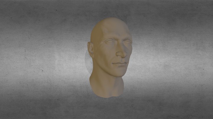 SW_RAV_BRETON 3D Model
