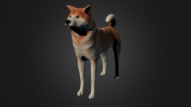 Akita WIP 3D Model