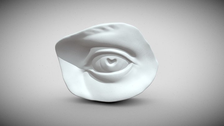 David's eye cast study 3D Model