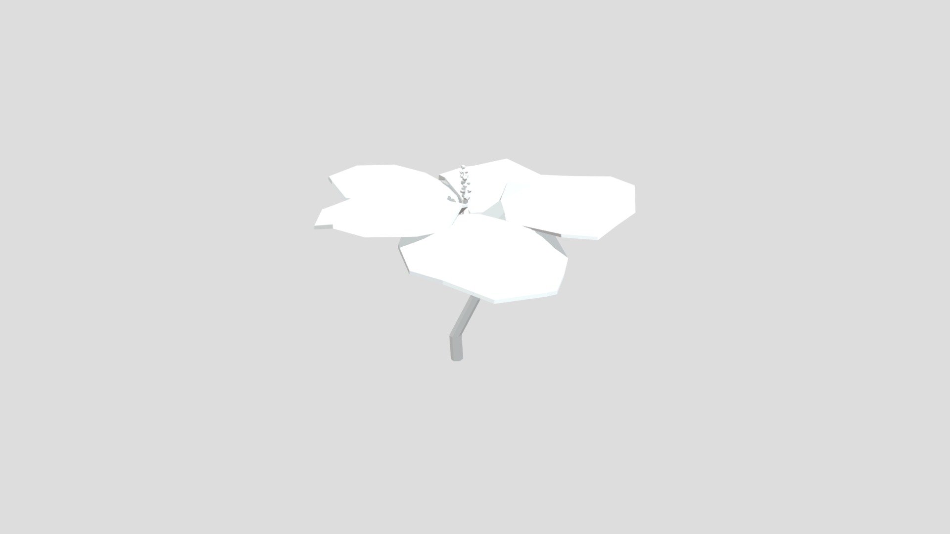Hibiscus flower from Poly by Google