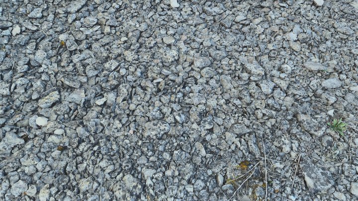 Gotland Pebble Ground - RealityScan 3D Model