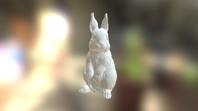 Rabbit without texture 3D Model
