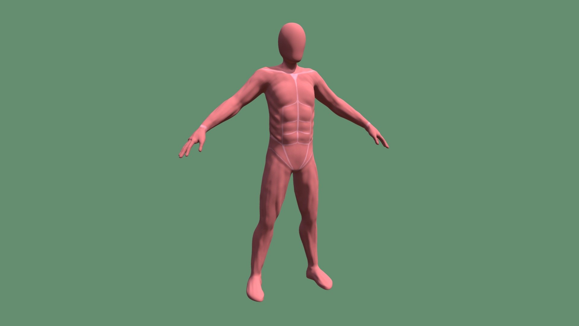 2284_Herman_Youlin_Anatomie