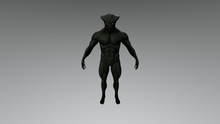From Space 3D Model