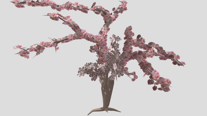 Cherry Blossom (Sakura) Tree Realistic Model