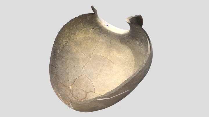 須恵器 甕 半裁（寒風古窯跡群１－Ⅲ号窯出土） 3D Model