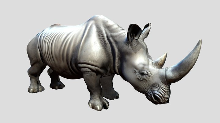 Rhino - animal