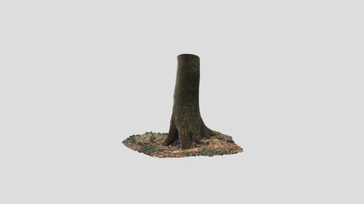 Microecosystem Oak 3D Model