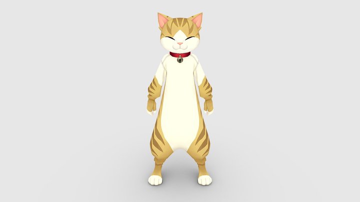 Cartoon cat costume 3D Model
