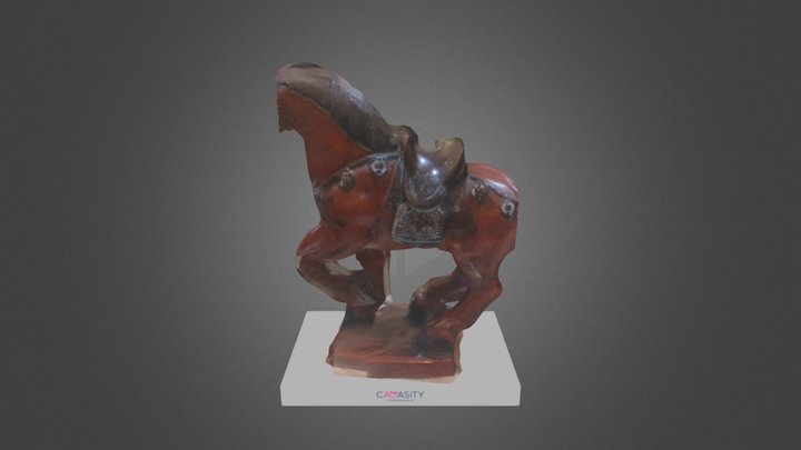 3D Model by Cappasity Easy 3D Scan 3D Model