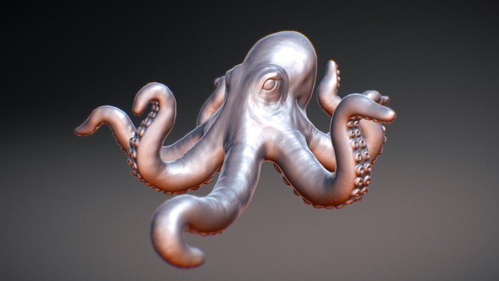 Octopus 3D Model