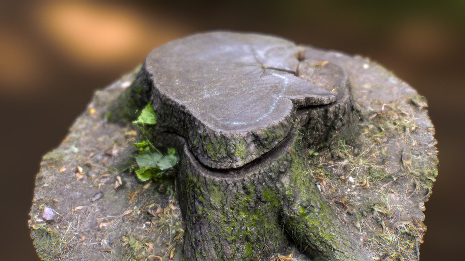 3D model Stump - This is a 3D model of the Stump. The 3D model is about a turtle on a log.