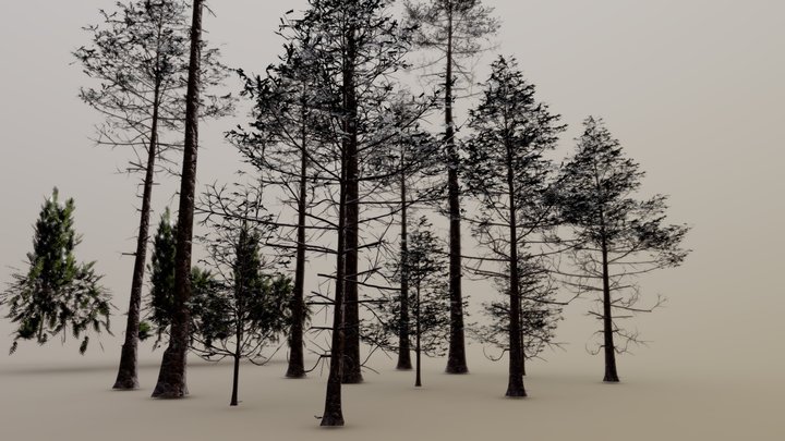 Pines Trees and Bush 3D Model